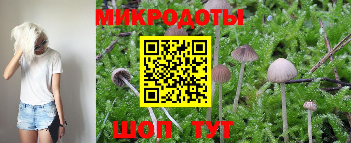 Псилоцибиновые грибы GOLDEN TEACHER  Вход с VPN  Салехард 